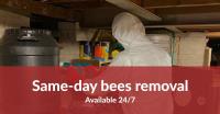 Bee Removal Melbourne image 6